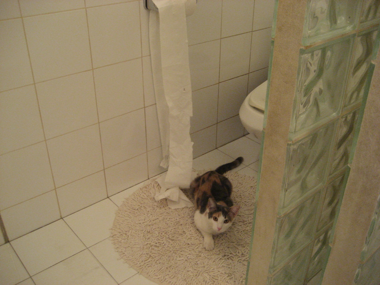 _精准射箭比赛：挥弓之间的专注力量_，射箭很准