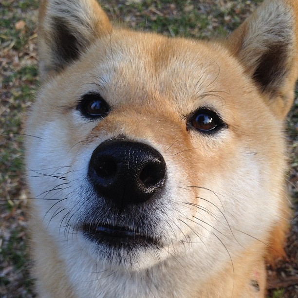 九游网游官网-_红土季节：场地变更带来全新挑战_，红土地最佳观景时间