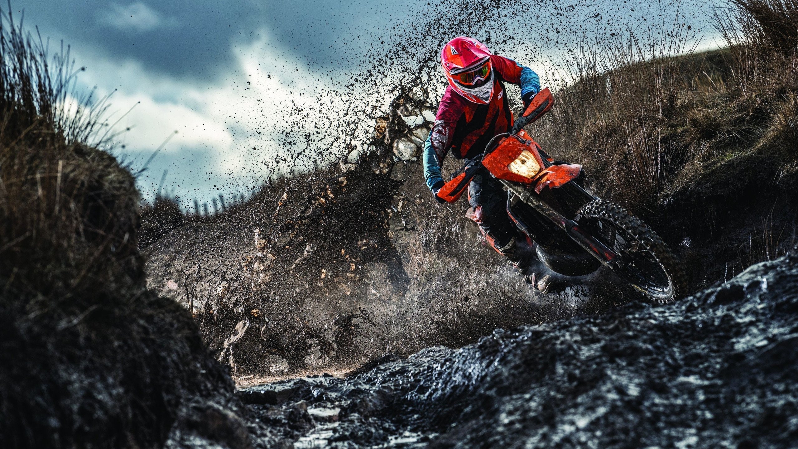 九游网游官网-维尔·冯·威克：冲击力与灵活性兼具，南非队锋线的重要力量，安东冯维尔纳